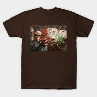 Water drops T-Shirt